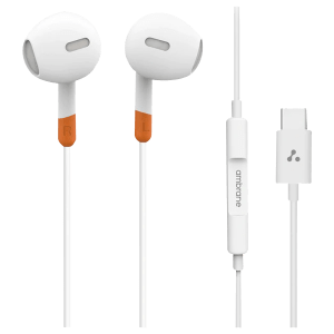 Budget earphones with mic sale